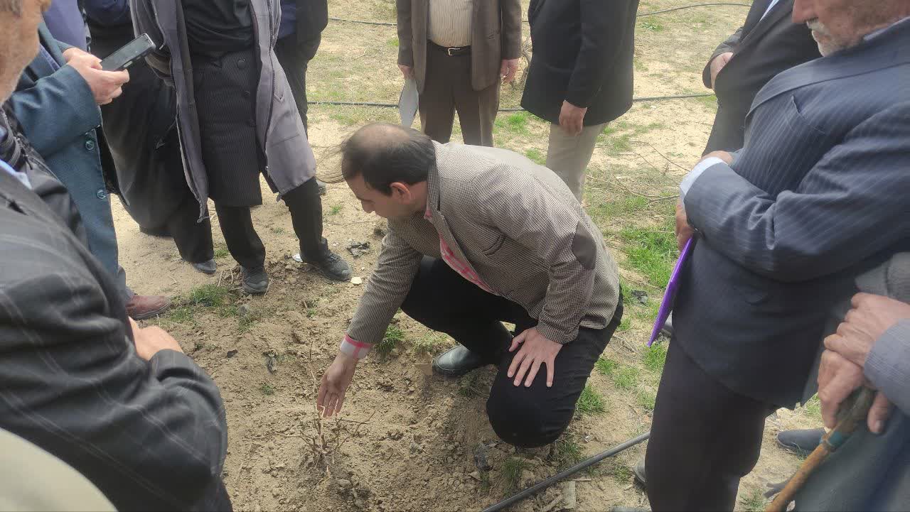 انتقال بخشوده5.jpg